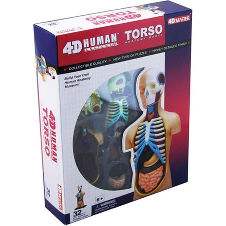 TEDCO TOYS Tedco Toys 26051 4-D Human Torso Anatomy Model 26051